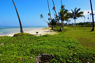 Buy beach property in Fiji